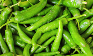 Top 10 Green Chili Recipes - Stinkin' Good Green Chile