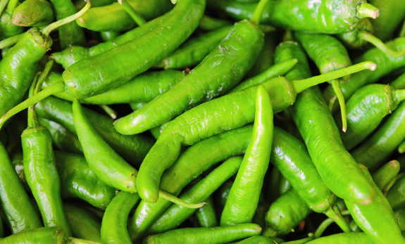 Top 10 Green Chili Recipies