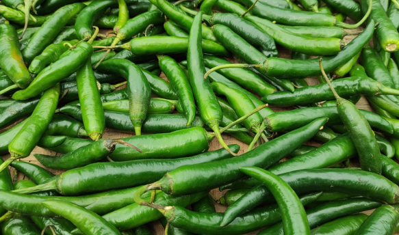 Green chili is a beloved staple in Colorado cuisine, adding a distinctive flavor to many local dishes.